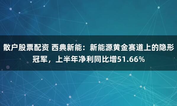 散户股票配资 西典新能：新能源黄金赛道上的隐形冠军，上半年净利同比增51.66%
